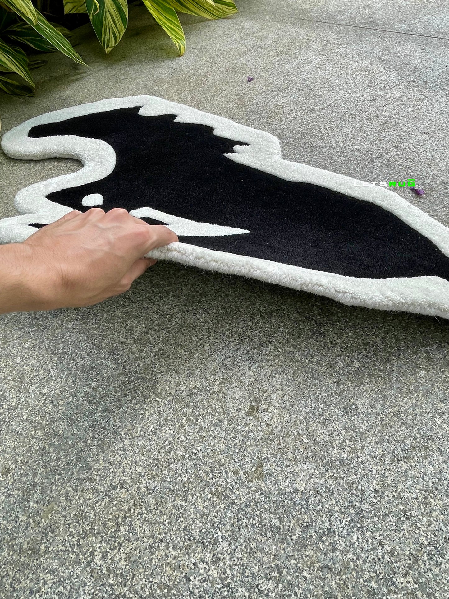 Horse Rug | HandTufted Custom Rug